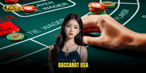 Baccarat USA