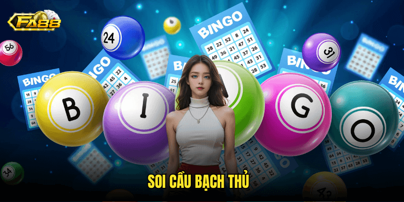 Soi Cầu Bạch Thủ
