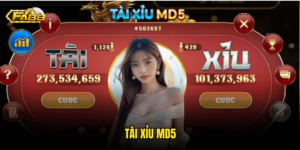 Tài Xỉu MD5